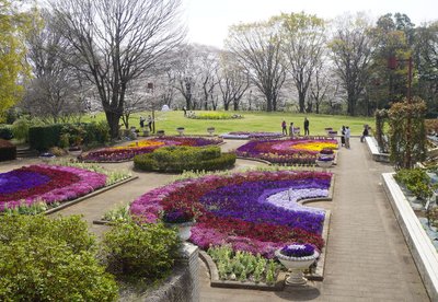 🌳 지광산 공원(치코잔 코엔) 이미지 2